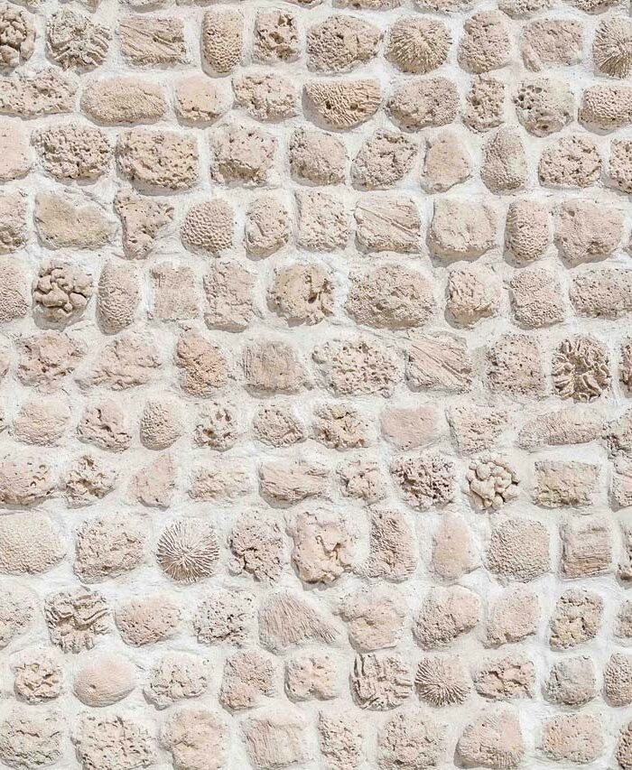 ALB Destination Sharjah Coral Wall
