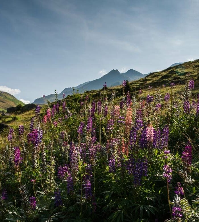 CAM SFP Destination Andermatt Summer Landscape021