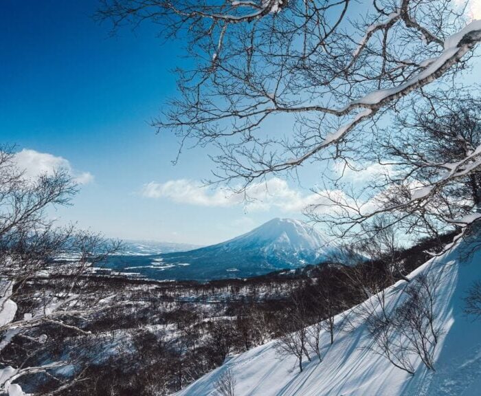 Niseko Image x