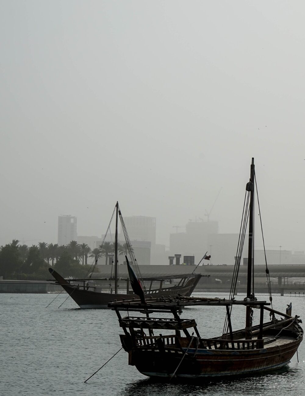 muscat terrasse ()